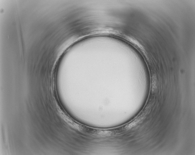 X0000060271467200511181407