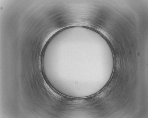 X0000060271468200511181407