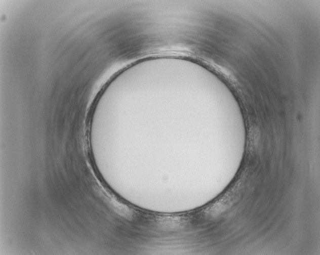 X0000060271470200511181407