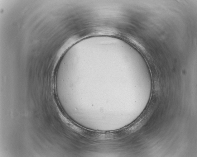 X0000060271471200511181407