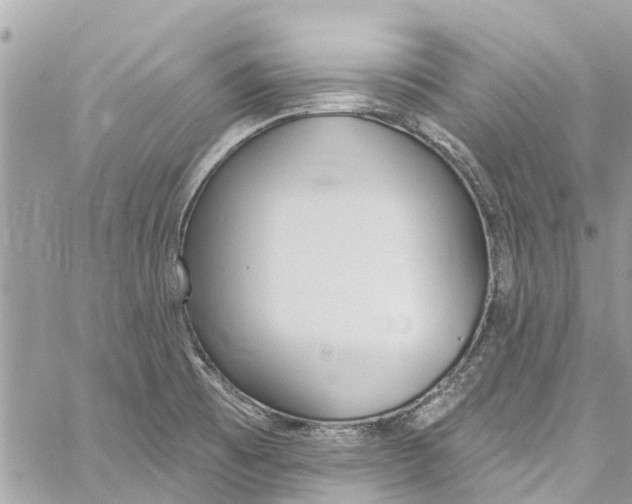 X0000060271473200511181407