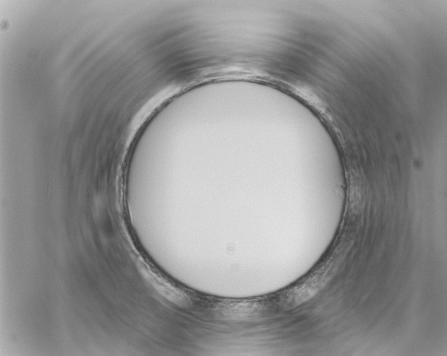 X0000060271474200511181407