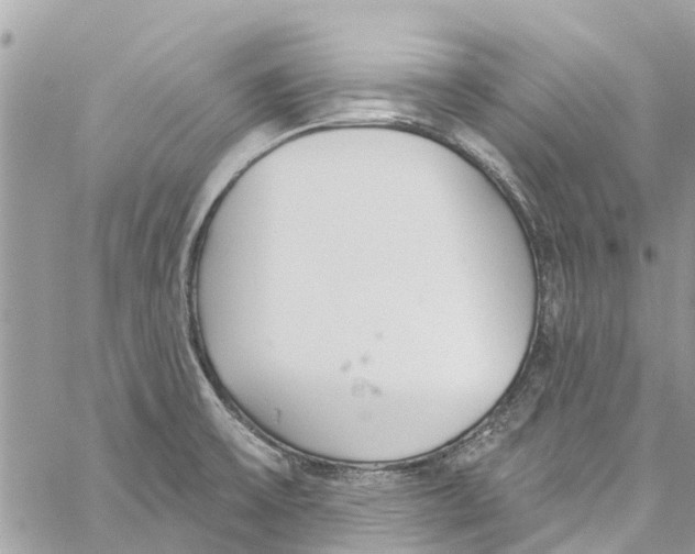 X0000060271475200511181407