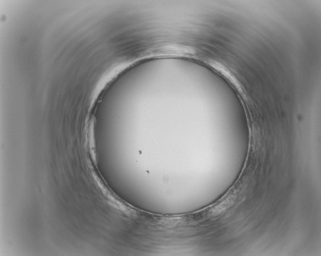 X0000060271477200511181407