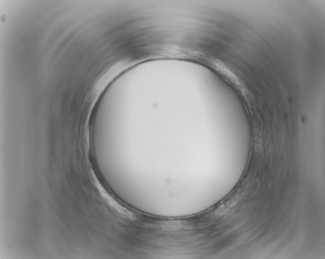 X0000060271479200511181407