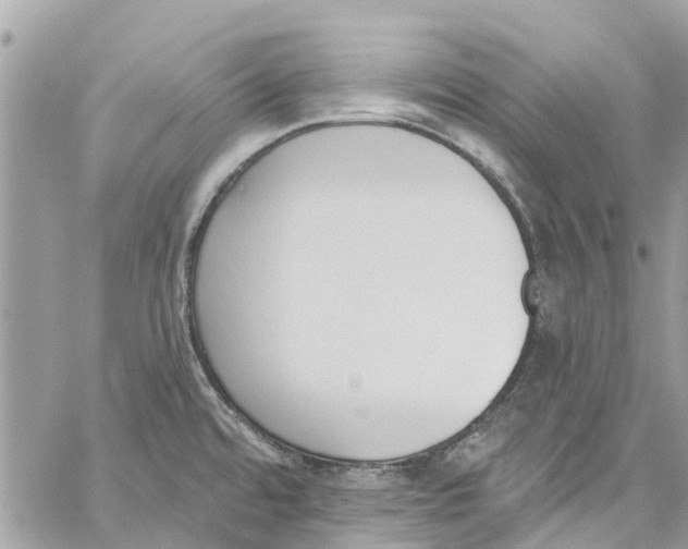 X0000060271480200511181407