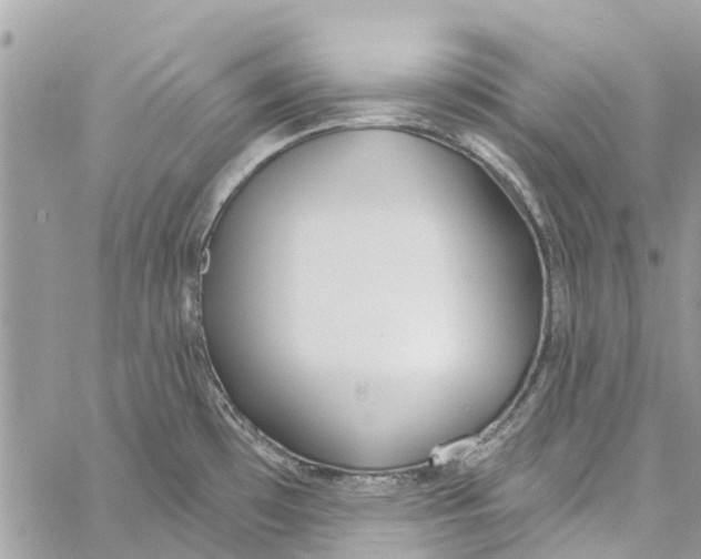 X0000060271481200511181407