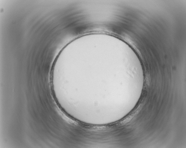 X0000060271482200511181407