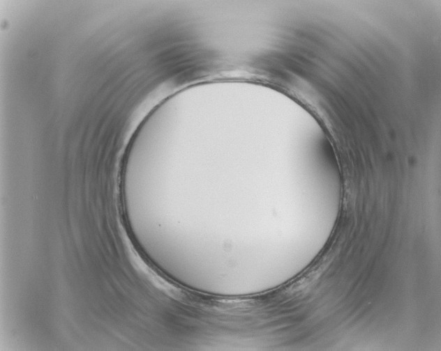 X0000060271483200511181407