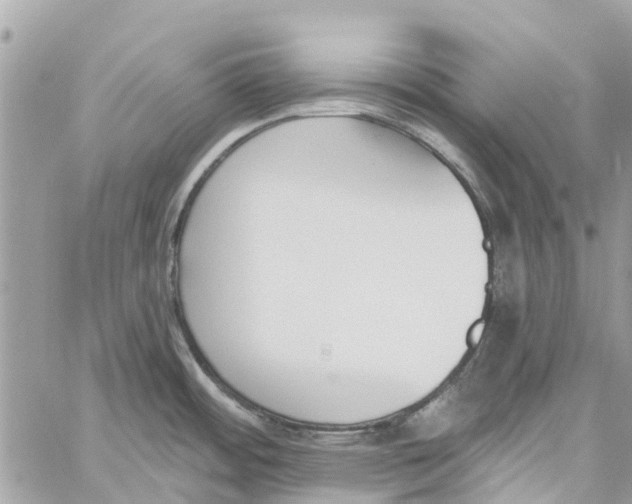 X0000060271484200511181407