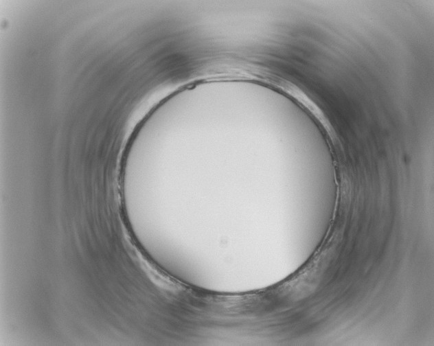 X0000060271485200511181407