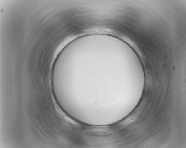 X0000060271486200511181407