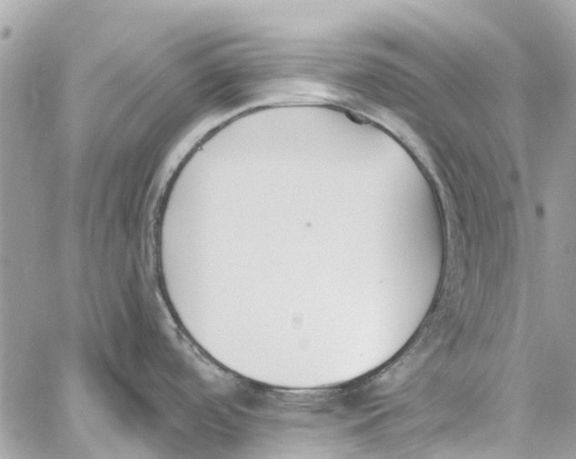 X0000060271488200511181407