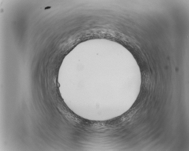 X0000060271489200511181406