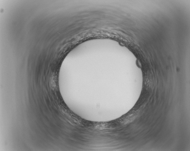 X0000060271490200511181406