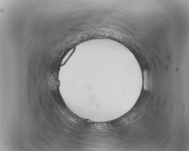 X0000060271491200511181406