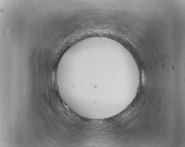 X0000060271492200511181406