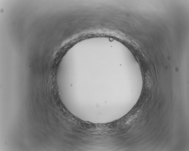 X0000060271494200511181406