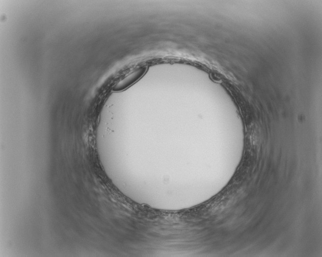 X0000060271495200511181406