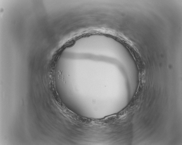 X0000060271496200511181406