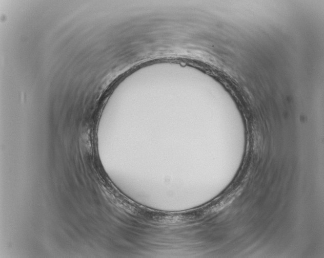 X0000060271497200511181406