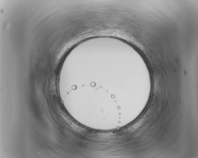 X0000060271498200511181406