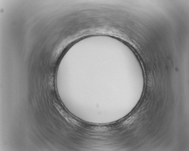 X0000060271499200511181406