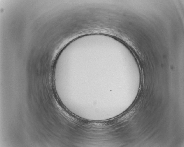 X0000060271500200511181406