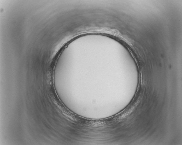 X0000060271501200511181406