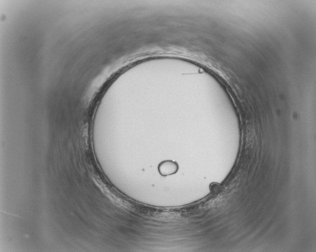 X0000060271503200511181406