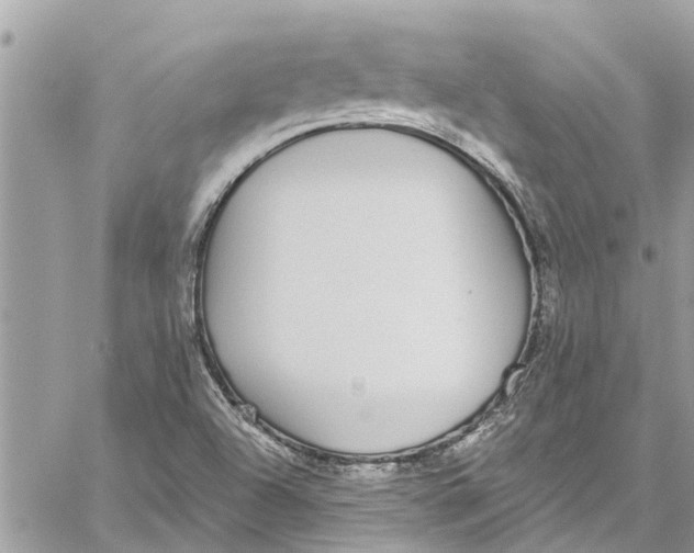 X0000060271504200511181406