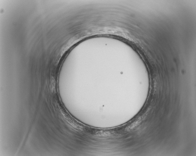 X0000060271505200511181406