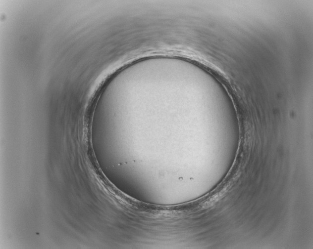 X0000060271506200511181406