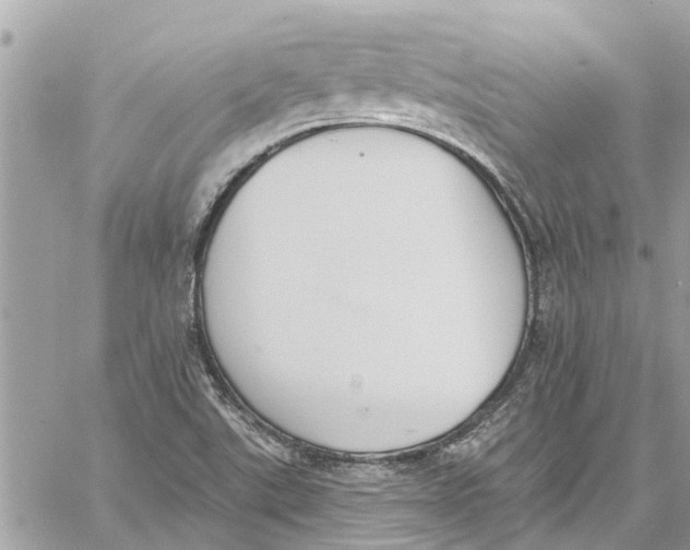 X0000060271507200511181406