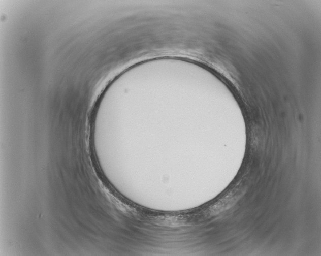 X0000060271508200511181406