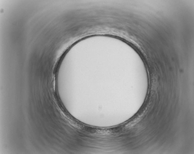 X0000060271509200511181406