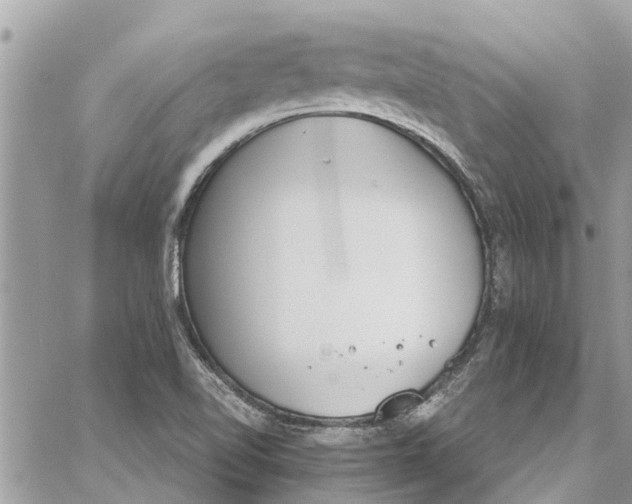 X0000060271510200511181406