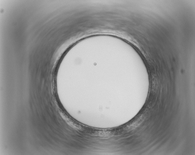 X0000060271511200511181406