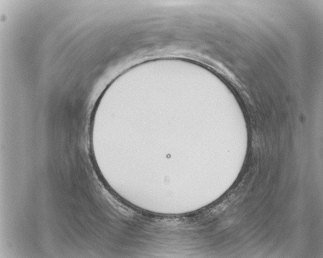 X0000060271512200511181406