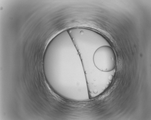 X0000060271513200511181406