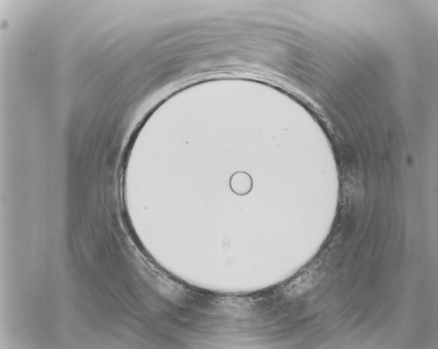 X0000060271514200511181406