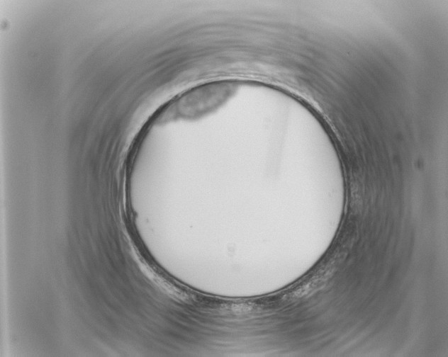 X0000060271515200511181406