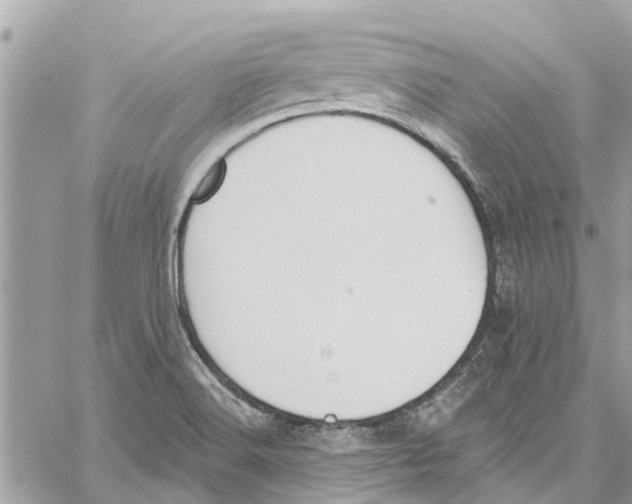 X0000060271516200511181406