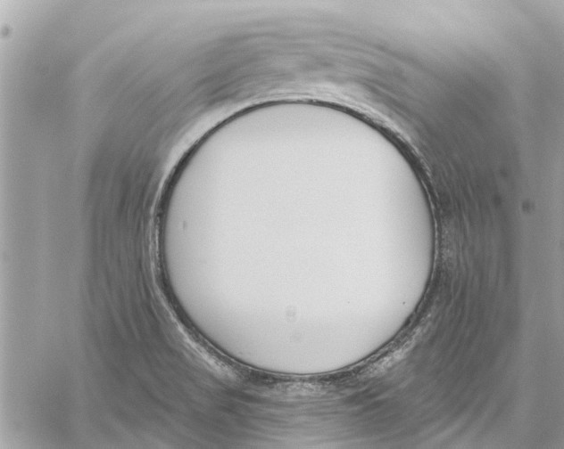 X0000060271517200511181406