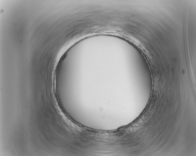 X0000060271520200511181406