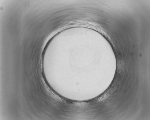 X0000060271522200511181406