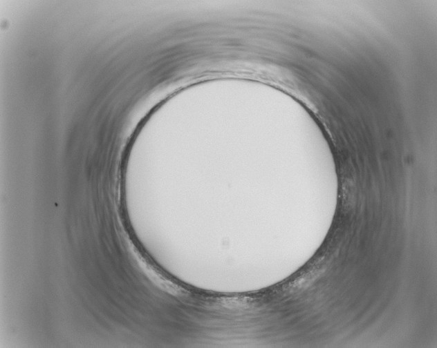 X0000060271523200511181406