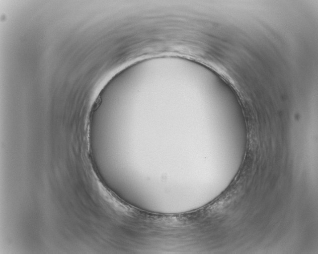 X0000060271524200511181406