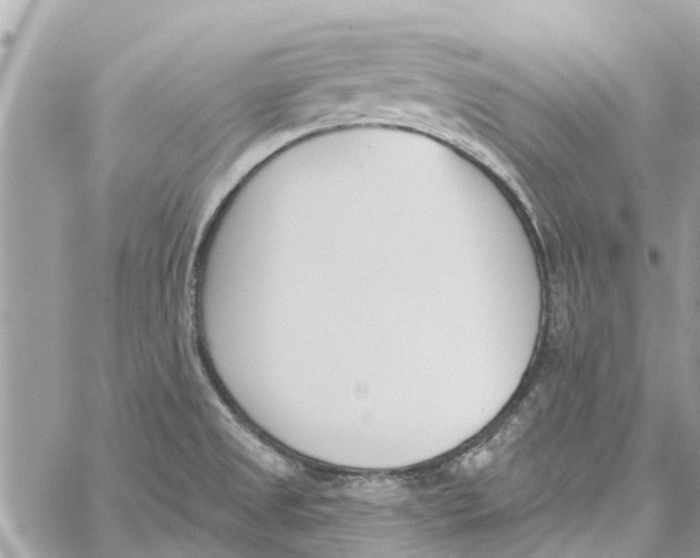 X0000060271525200511181406