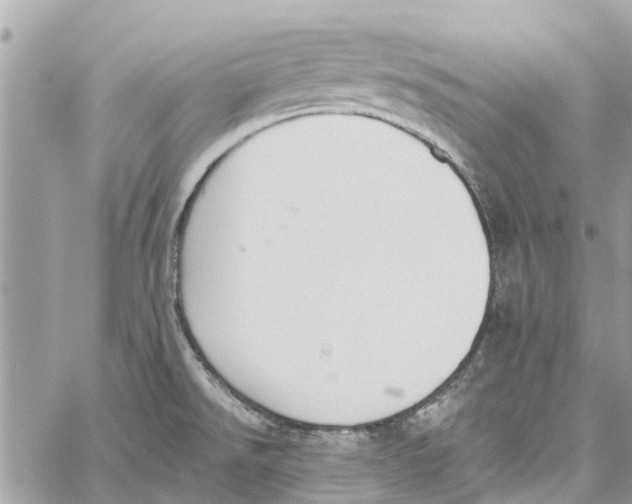 X0000060271526200511181406